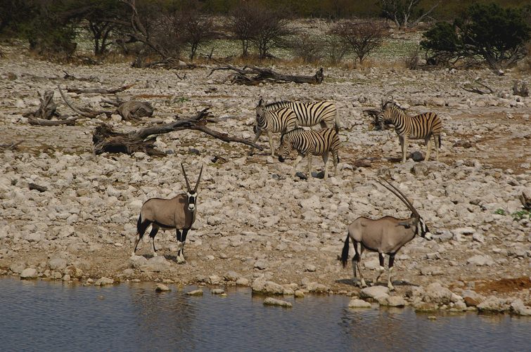 674 Namibia Okt 2006 .JPG
